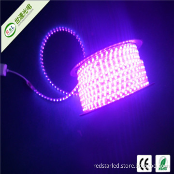 High Voltage LED Strip